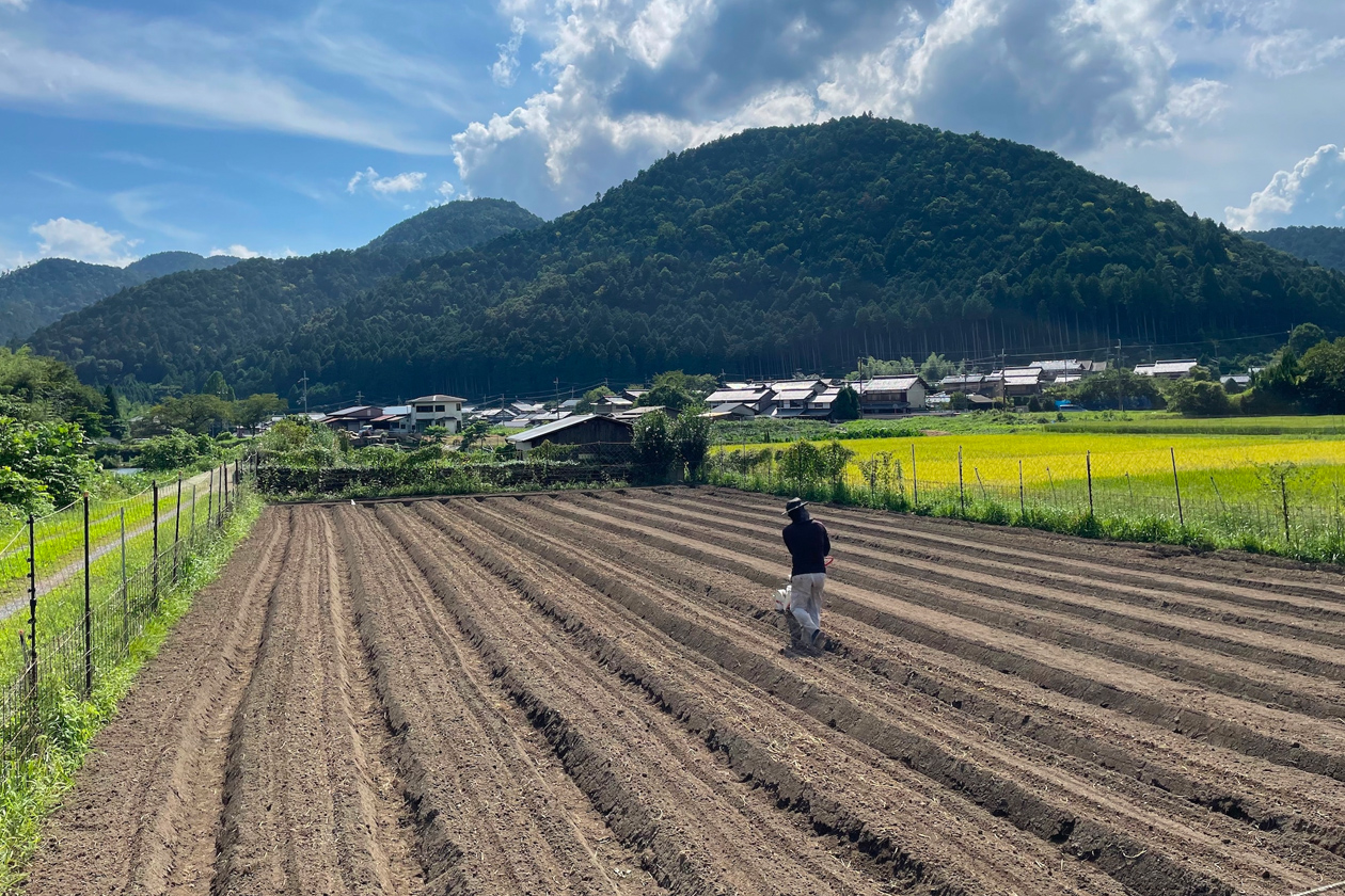 成長を願って、機械で種まき。